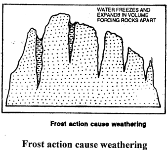 ICSE Solutions for Class 9 Geography Chapter 9 Weathering 4