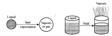 New Simplified Chemistry Class 8 ICSE Solutions Chapter 1 Matter 4