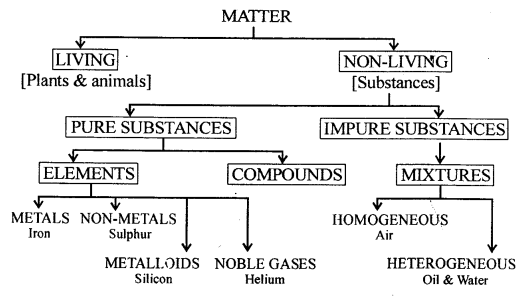 New Simplified Chemistry Class 8 ICSE Solutions Chapter 3 Elements, Compounds & Mixtures 1