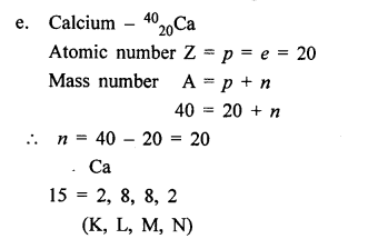 New Simplified Chemistry Class 8 ICSE Solutions Chapter 4 Atomic Structure 11