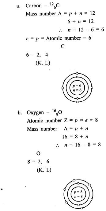 New Simplified Chemistry Class 8 ICSE Solutions Chapter 4 Atomic Structure 9