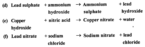 New Simplified Chemistry Class 8 ICSE Solutions Chapter 5 Language of Chemistry 22
