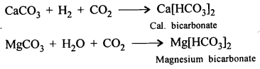 New Simplified Chemistry Class 8 ICSE Solutions Chapter 8 Water 6