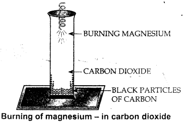New Simplified Chemistry Class 8 ICSE Solutions Chapter 9 Carbon & Its Compounds 12