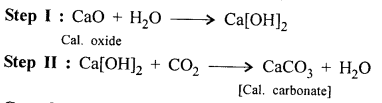 New Simplified Chemistry Class 8 ICSE Solutions Chapter 9 Carbon & Its Compounds 20