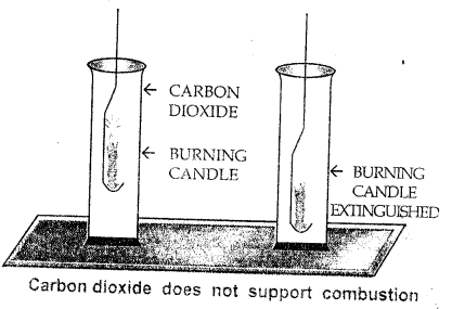 New Simplified Chemistry Class 8 ICSE Solutions Chapter 9 Carbon & Its Compounds 4
