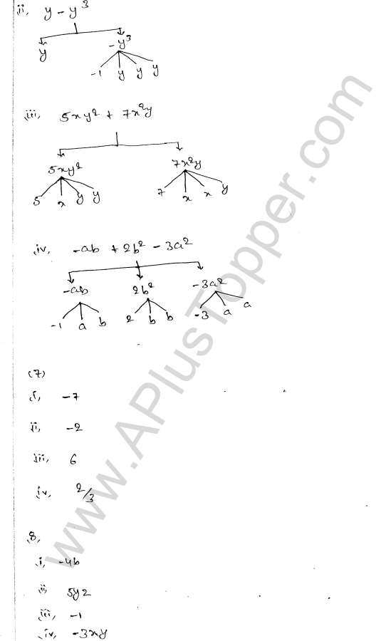 ml-aggarwal-icse-solutions-for-class-7-maths-chapter-8-algebraic-expressions-3