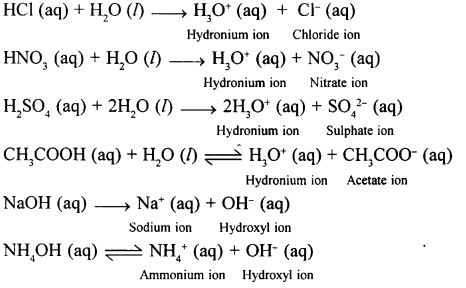 New Simplified Chemistry Class 10 ICSE Solutions Chapter 3A Acids, Bases and Salts 25