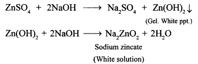 New Simplified Chemistry Class 10 ICSE Solutions Chapter 3B Analytical Chemistry – Use of Ammonium And Sodium Hydroxide 1