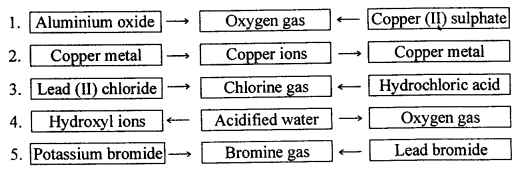 New Simplified Chemistry Class 10 ICSE Solutions Chapter 5 Electrolysis 28