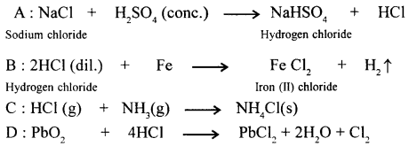New Simplified Chemistry Class 10 ICSE Solutions Chapter 7A Study Of Compounds - Hydrogen Chloride 14