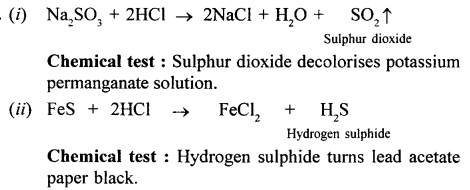 New Simplified Chemistry Class 10 ICSE Solutions Chapter 7A Study Of Compounds - Hydrogen Chloride 22