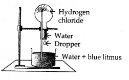 New Simplified Chemistry Class 10 ICSE Solutions Chapter 7A Study Of Compounds - Hydrogen Chloride 3