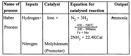 New Simplified Chemistry Class 10 ICSE Solutions Chapter 7B Study Of Compounds - Ammonia 10