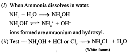 New Simplified Chemistry Class 10 ICSE Solutions Chapter 7B Study Of Compounds - Ammonia 25