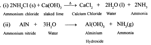 New Simplified Chemistry Class 10 ICSE Solutions Chapter 7B Study Of Compounds - Ammonia 4
