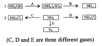 New Simplified Chemistry Class 10 ICSE Solutions Chapter 7B Study Of Compounds - Ammonia 57