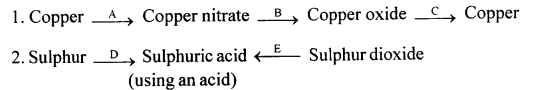New Simplified Chemistry Class 10 ICSE Solutions Chapter 7C Study Of Compounds - Nitric Acids 24