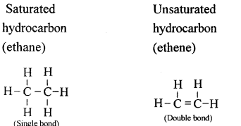 New Simplified Chemistry Class 10 ICSE Solutions Chapter 8 Organic Chemistry 17