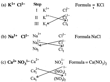 New Simplified Chemistry Class 6 ICSE Solutions Chapter 2 Elements, Compounds & Mixtures 12