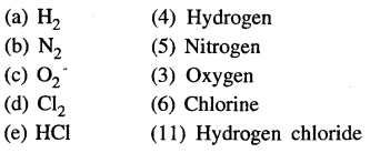 New Simplified Chemistry Class 6 ICSE Solutions Chapter 2 Elements, Compounds & Mixtures 13