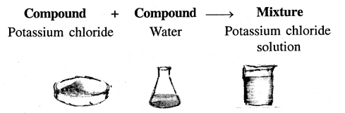 New Simplified Chemistry Class 6 ICSE Solutions Chapter 2 Elements, Compounds & Mixtures 25