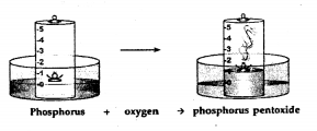 New Simplified Chemistry Class 6 ICSE Solutions Chapter 5 Air and Atmosphere 12