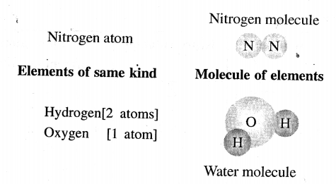 New Simplified Chemistry Class 7 ICSE Solutions - Atomic Structure 5