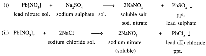 New Simplified Chemistry Class 9 ICSE Solutions Chapter 2 Chemical Changes and Reactions 28
