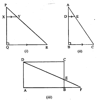 ML Aggarwal Class 9 Solutions for ICSE Maths Chapter 12 Pythagoras Theorem Qp1.1