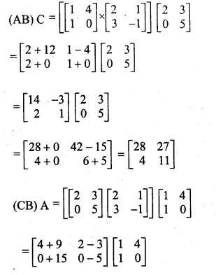 ML Aggarwal Class 10 Solutions for ICSE Maths Chapter 9 Matrices Chapter Test Q6.1