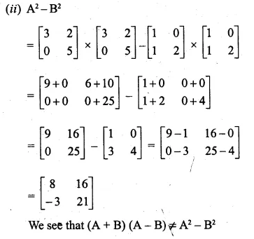 ML Aggarwal Class 10 Solutions for ICSE Maths Chapter 9 Matrices Chapter Test Q7.2