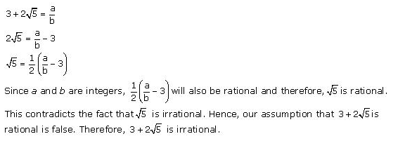 NCERT Solutions for Class 10 Maths Chapter 1 Real Numbers 13