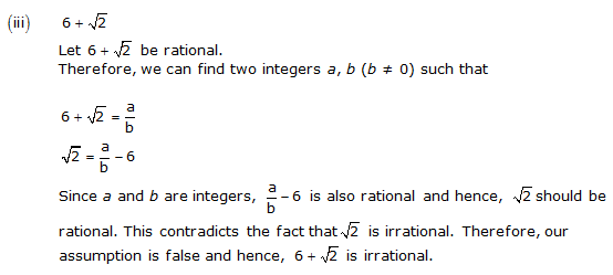 NCERT Solutions for Class 10 Maths Chapter 1 Real Numbers 16