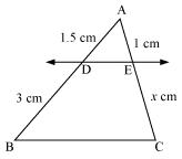 NCERT Solutions for Class 10 Maths Chapter 6 Triangles 7