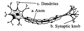 Kerala SSLC Biology Previous Question Papers with Answers 2018 image - 10
