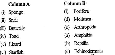 Selina Concise Biology Class 7 ICSE Solutions - Classification of Animals 4