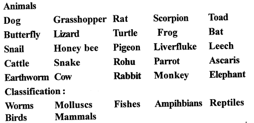 Selina Concise Biology Class 7 ICSE Solutions - Classification of Animals 5