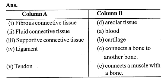 Selina Concise Biology Class 7 ICSE Solutions - Plant And Animal Tissues 1