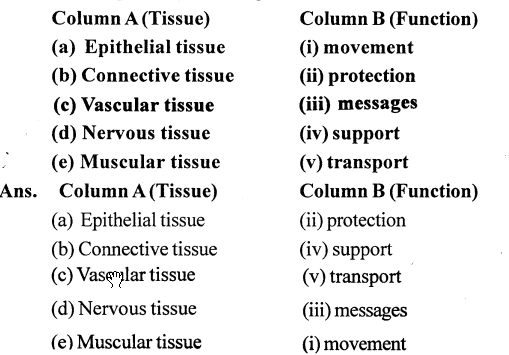 Selina Concise Biology Class 7 ICSE Solutions - Plant And Animal Tissues 2