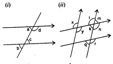 Selina Concise Mathematics Class 7 ICSE Solutions Chapter 14 Lines and Angles 70