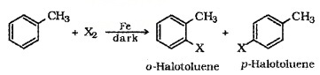 Plus Two Chemistry Notes Chapter 10 Haloalkanes and Haloarenes 11