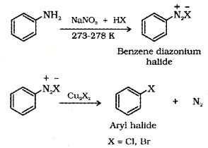 Plus Two Chemistry Notes Chapter 10 Haloalkanes and Haloarenes 12