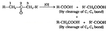 Plus Two Chemistry Notes Chapter 12 Aldehydes, Ketones and Carboxylic Acids 32
