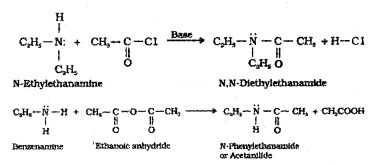 Plus Two Chemistry Notes Chapter 13 Amines 12