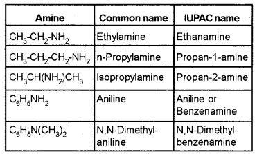 Plus Two Chemistry Notes Chapter 13 Amines 2