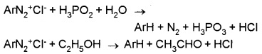 Plus Two Chemistry Notes Chapter 13 Amines 28