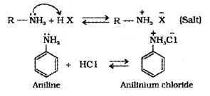Plus Two Chemistry Notes Chapter 13 Amines 8