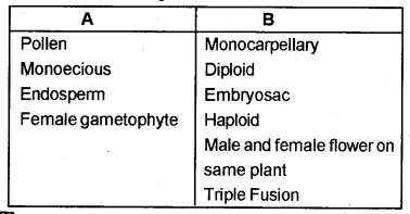Plus Two Botany Chapter Wise Previous Questions Chapter 2 Sexual Reproduction in Flowering Plants 2