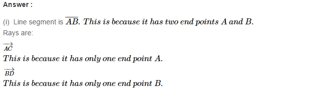 line Segment Ray and Line RS Aggarwal Class 6 Maths Solutions Ex 11A 2.1